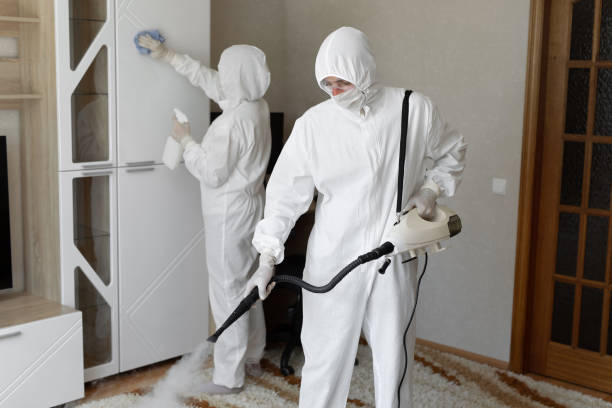 Best Mold Damage Repair  in Crow Agency, MT